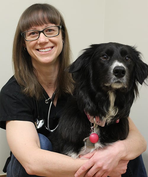 Victoria Veterinarian