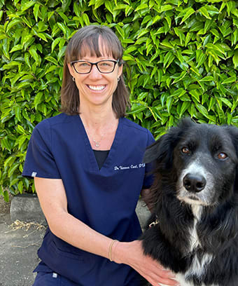 Victoria Veterinarian