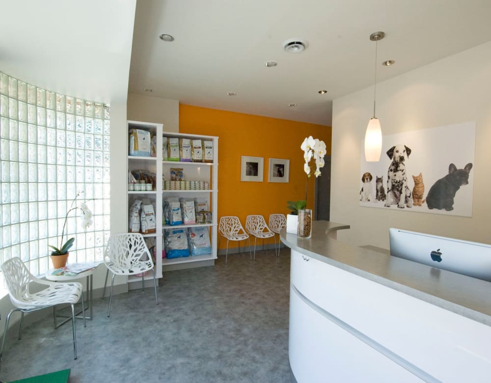Downtown Veterinary Clinic | Victoria Speciality & Emergency Vet